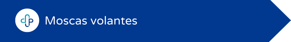 Moscas volantes - Servicio de Oftalmología en Clínica Promosalud de Logroño